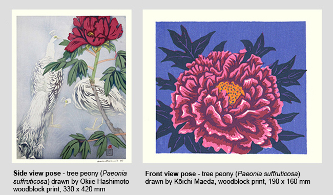 Flower Poses